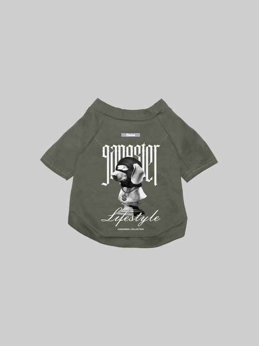 ropa para perros