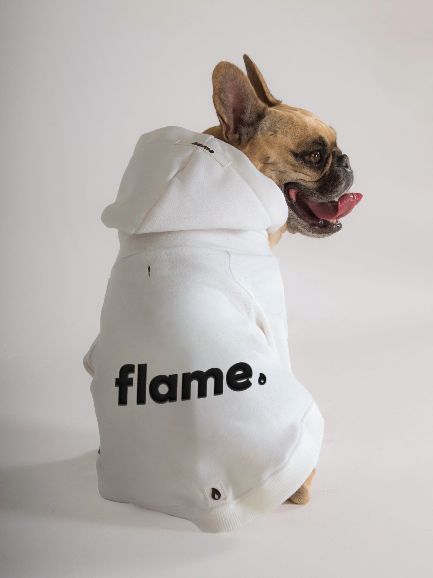 Ropa para perros