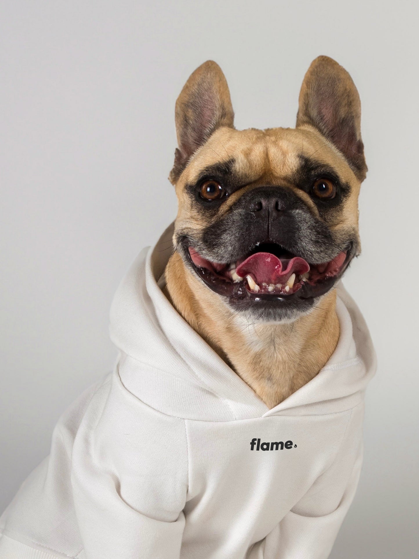 Ropa para perros y gatos