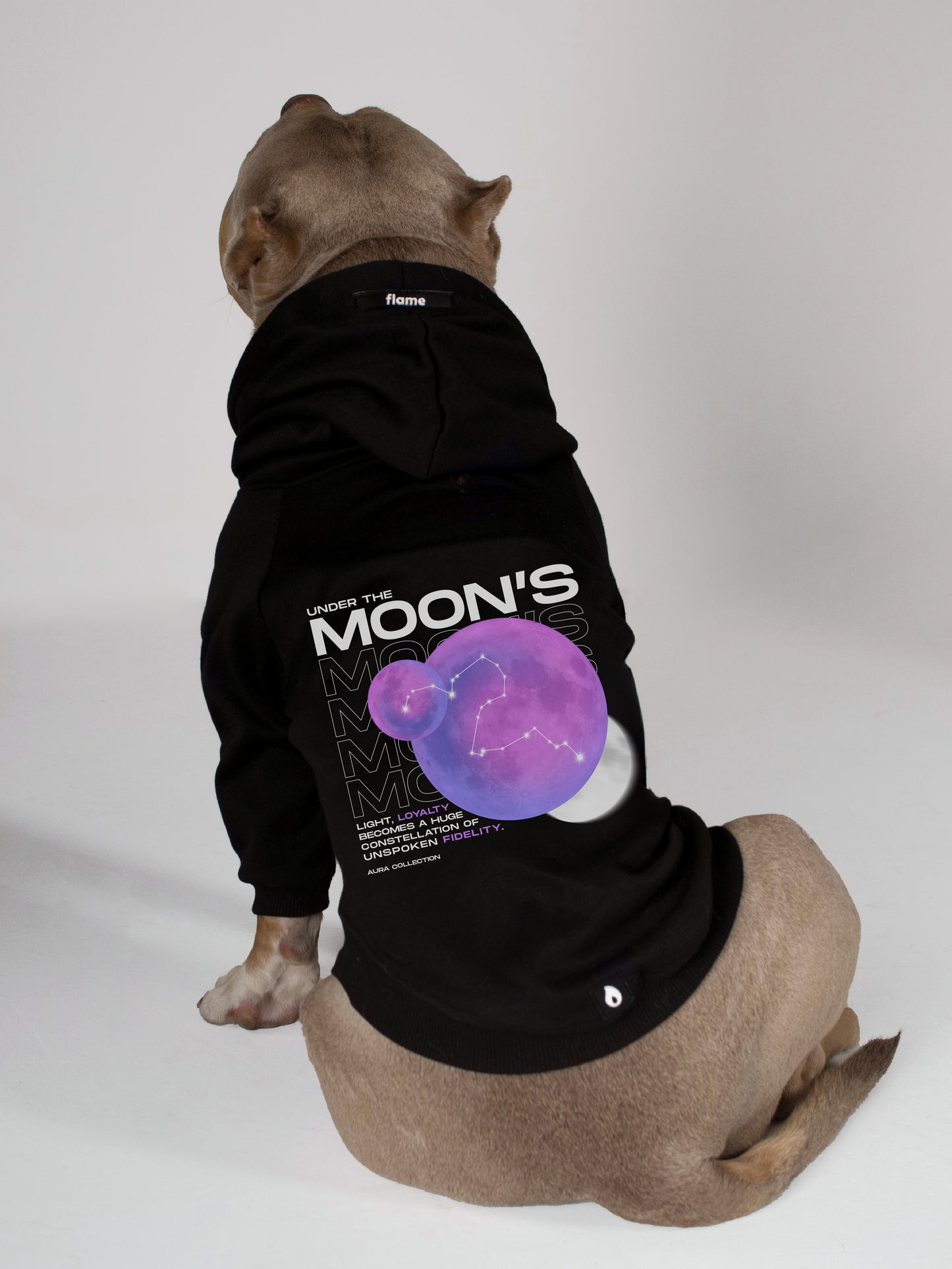 Ropa para perros