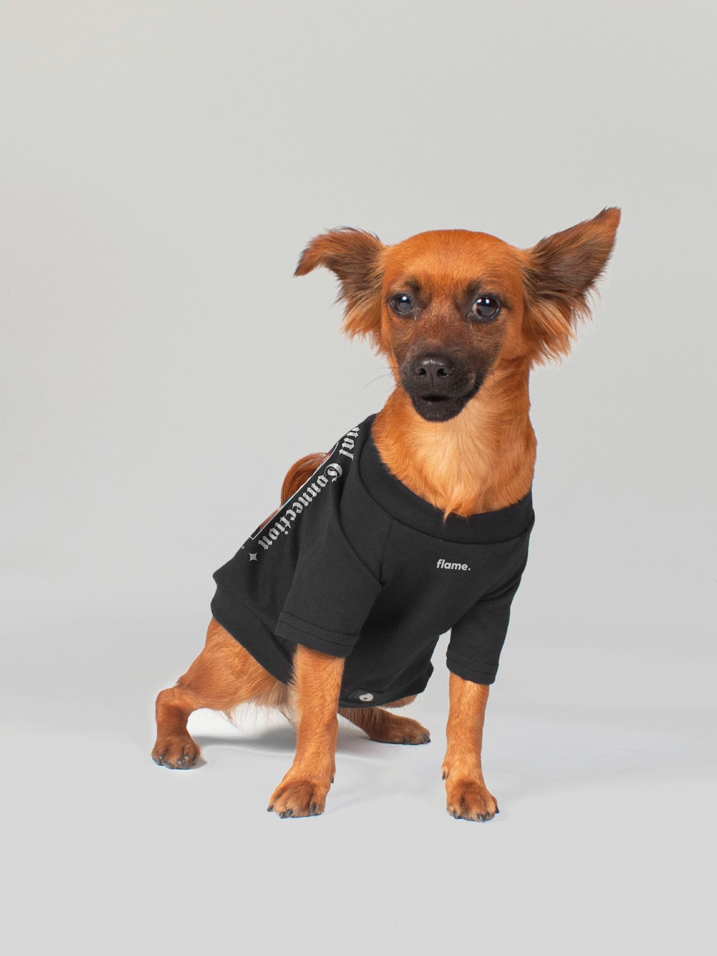 ropa para perros