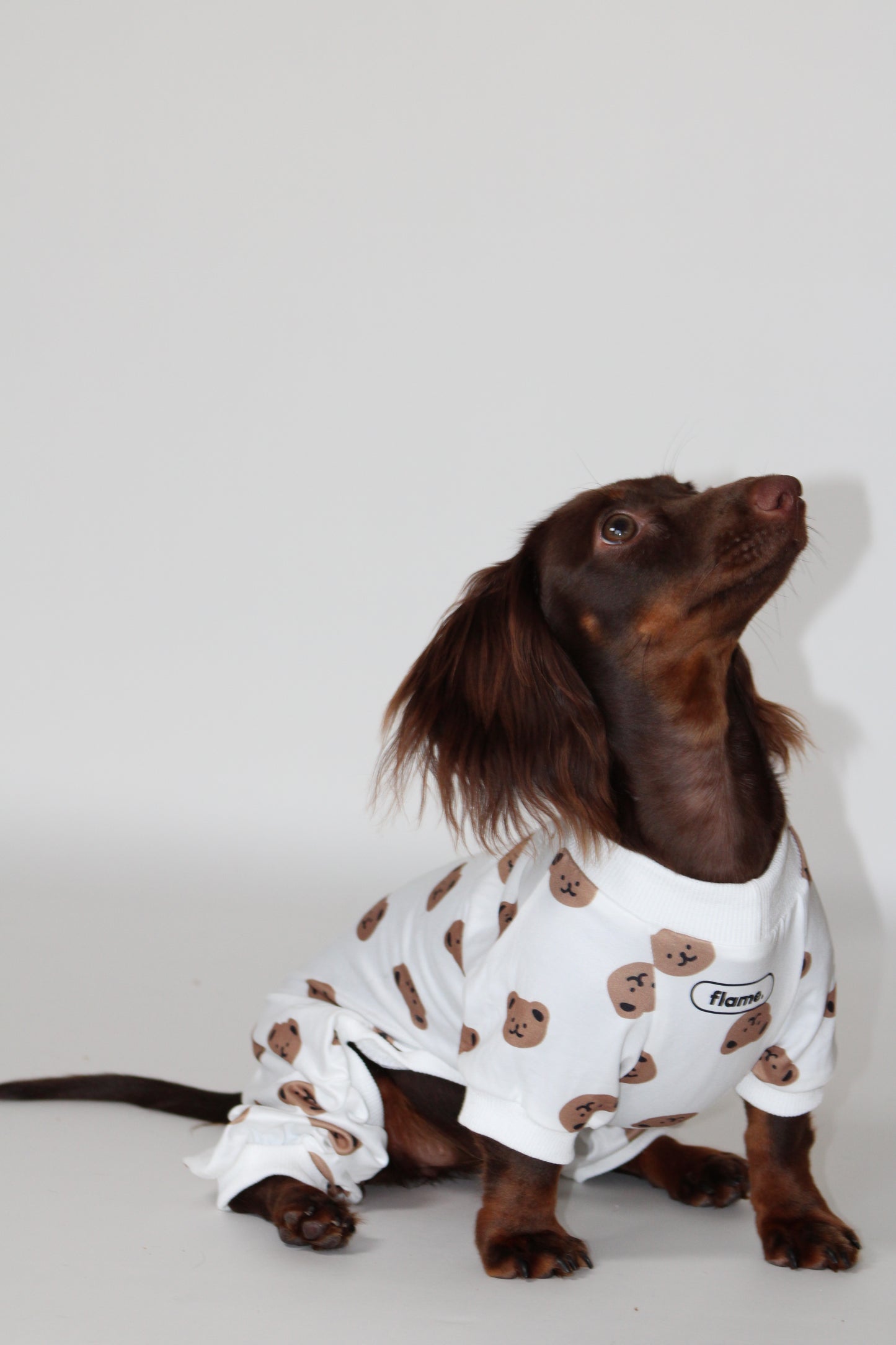 Cozy Teddy Bear Print Dog Pajamas / Onesie