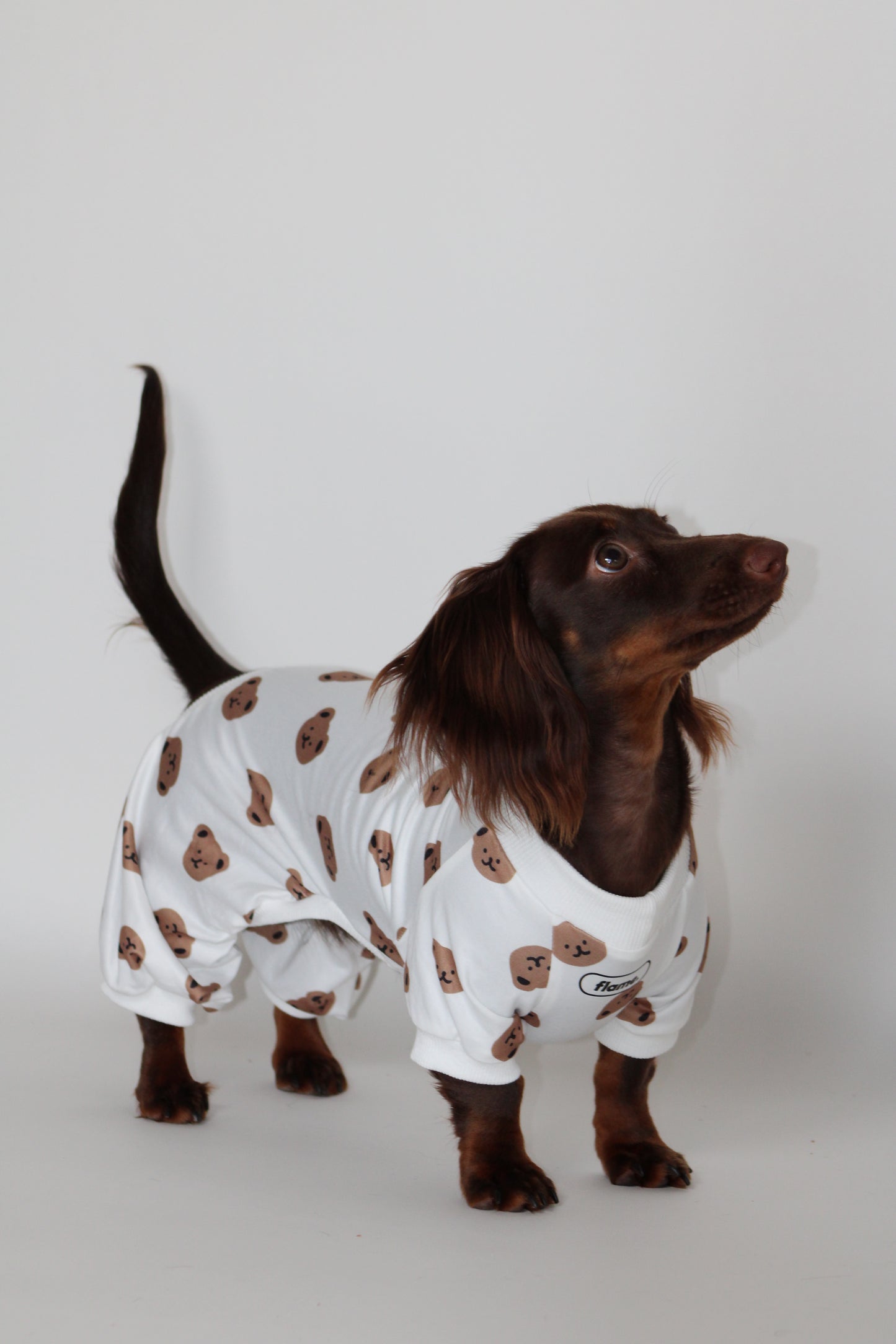 Cozy Teddy Bear Print Dog Pajamas / Onesie