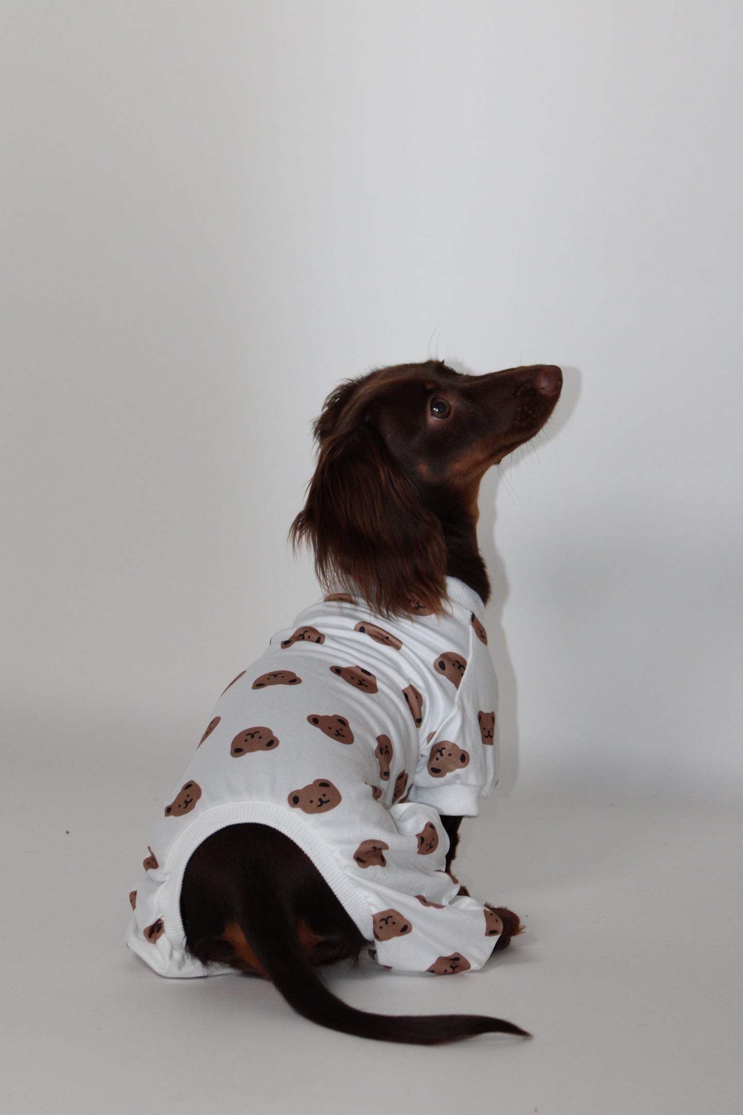 Cozy Teddy Bear Print Dog Pajamas / Onesie
