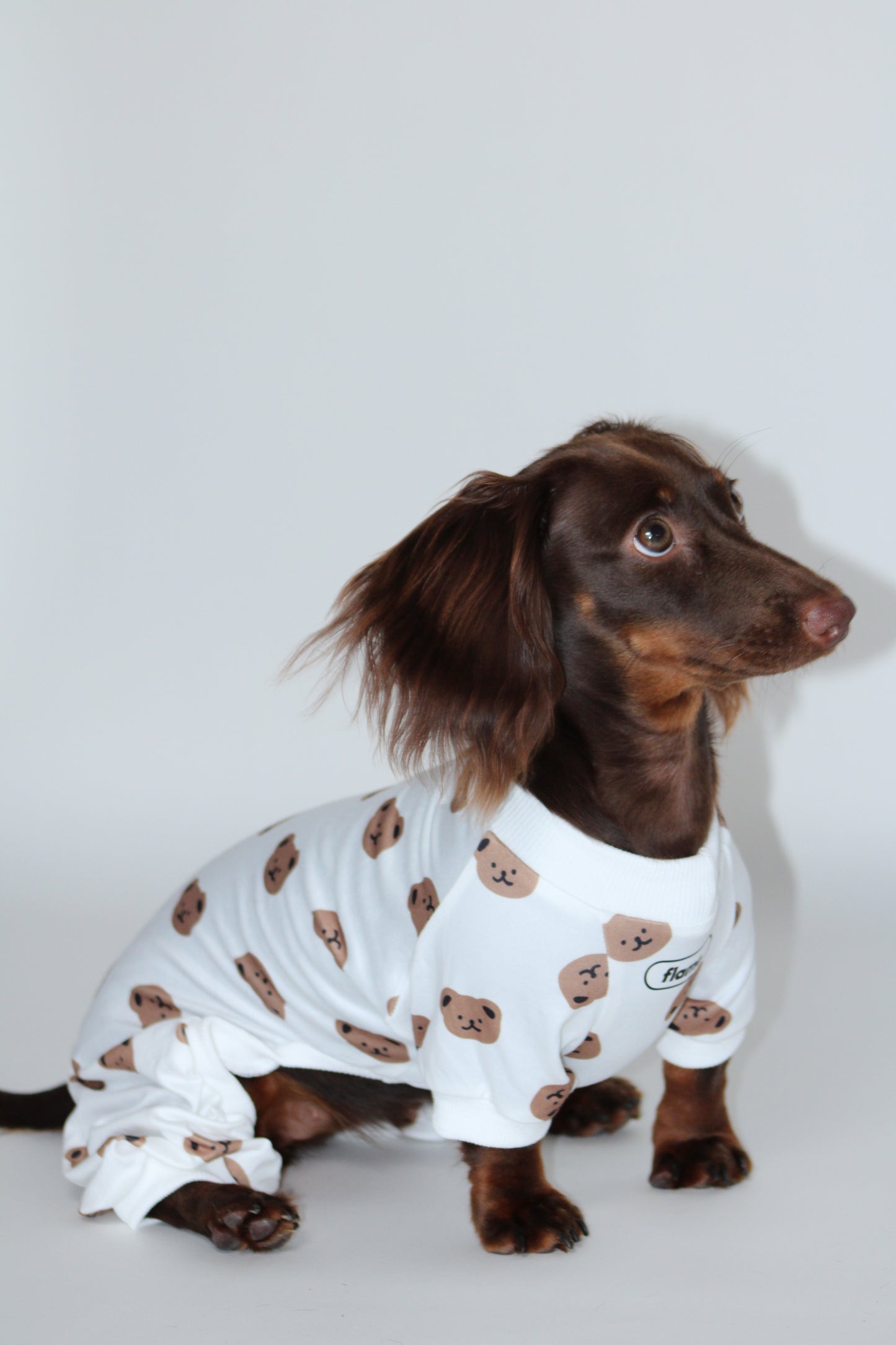 Cozy Teddy Bear Print Dog Pajamas / Onesie