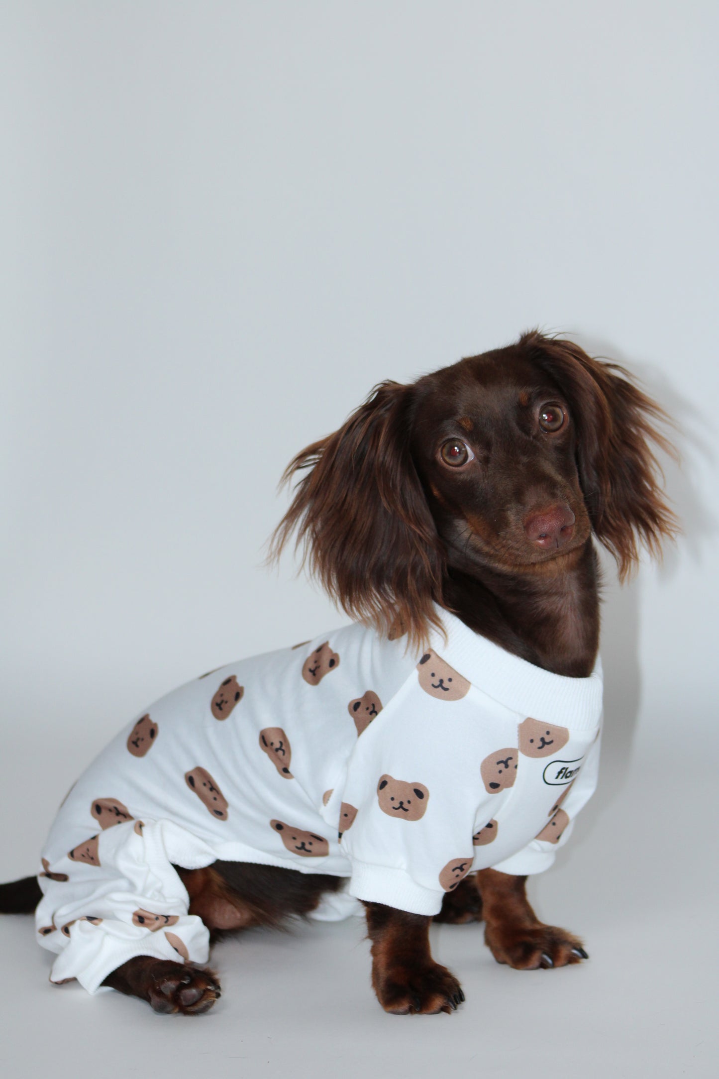 Cozy Teddy Bear Print Dog Pajamas / Onesie