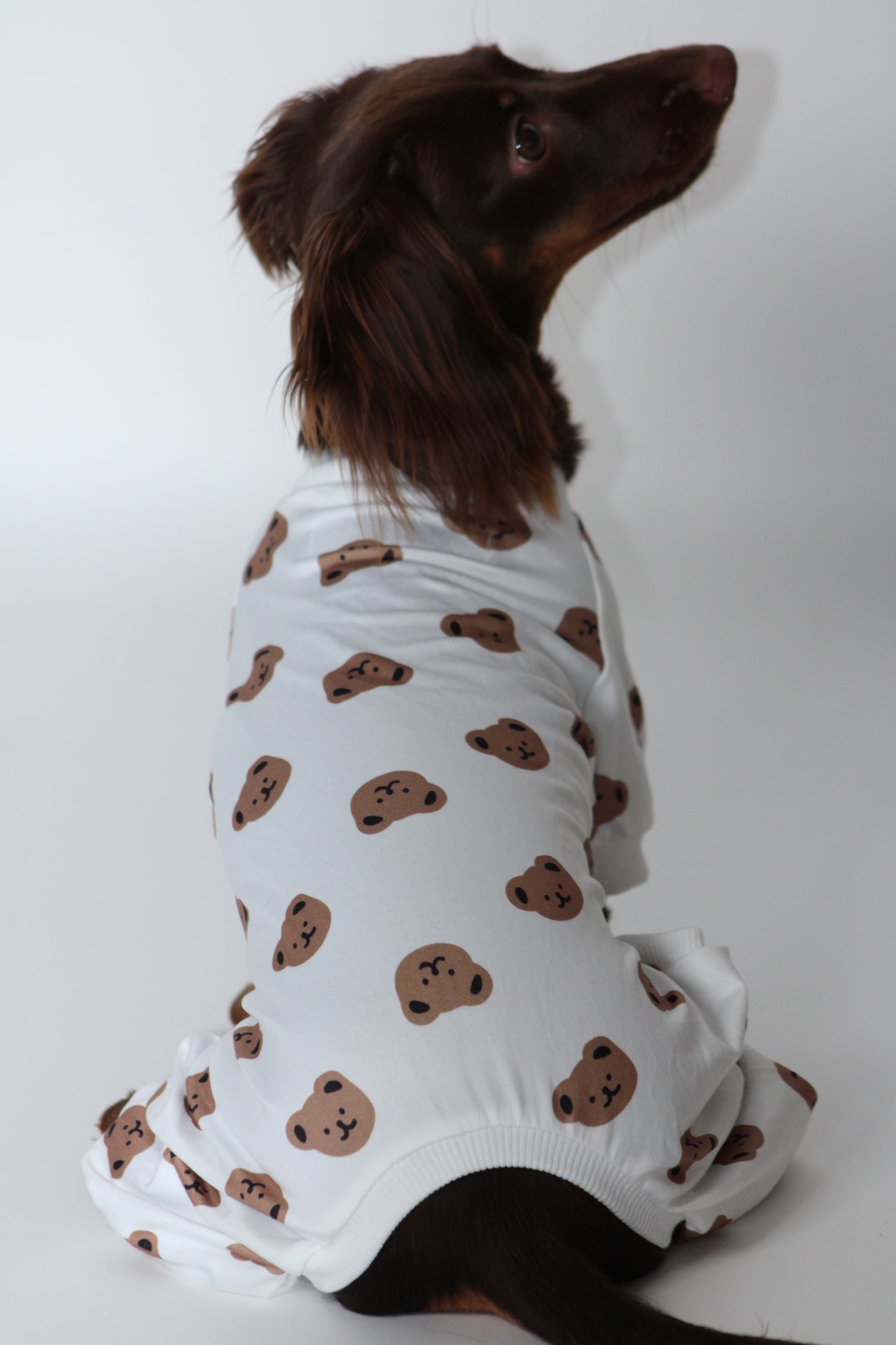 Cozy Teddy Bear Print Dog Pajamas / Onesie
