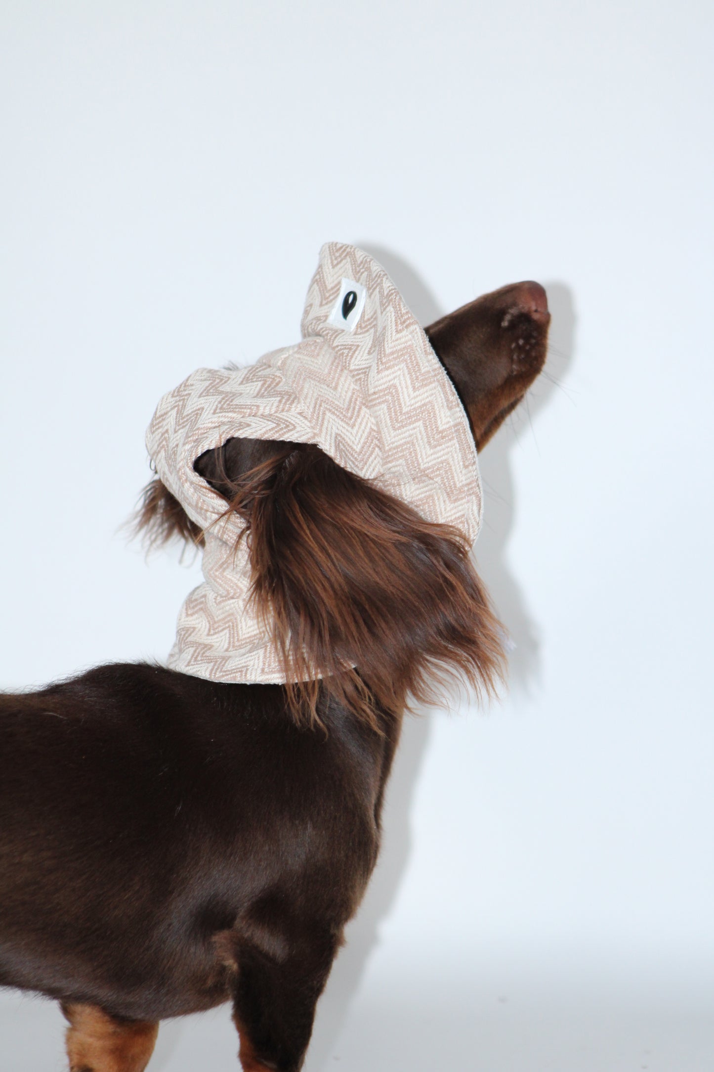 Beige Dog Bonnet Hat