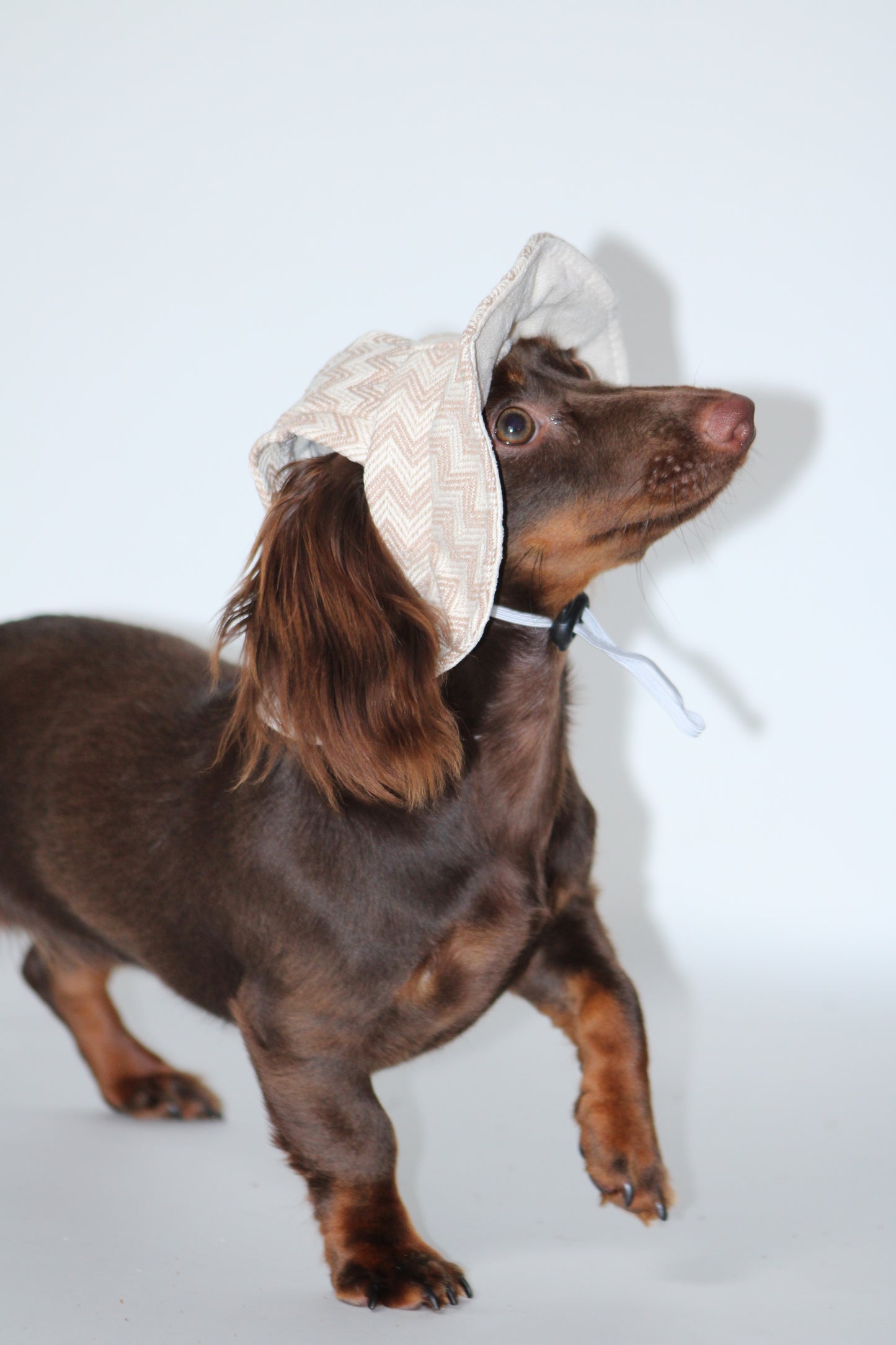 Beige Dog Bonnet Hat