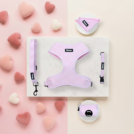 Pink Heartie Harness